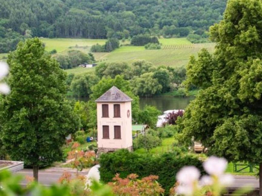 Chateau-De-La-Moselle 킨하임 외부 사진